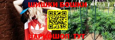 молекула духа Пенза